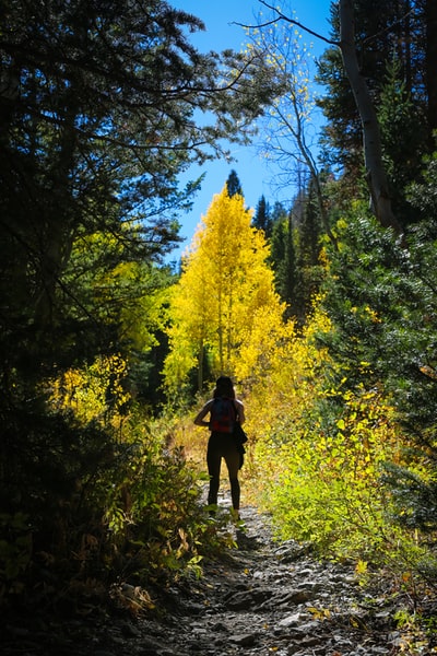 人站附近绿地环绕高和绿树蓝天之下
